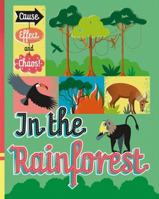 Cause, Effect and Chaos!: In the Rainforest by Paul Mason (Paperback Book)
