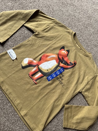 Zara Jungen T-Shirt 5-6 Jahre Fuchs Muster