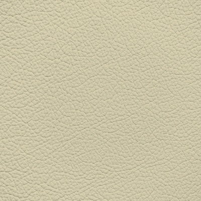 Lexus Parchment Leather Dye
