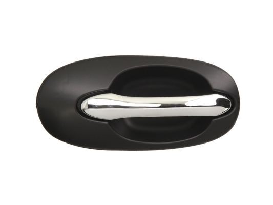 Right Rear BLIC 6010-53-012404P Exterior Door Handle for KIA