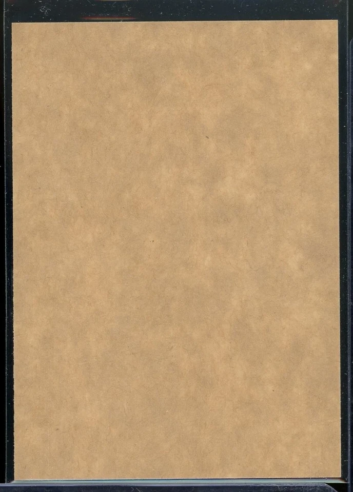 2023-24 O-Pee-Chee Retro Blank Back #34 Dylan Strome - Image 2 of 2