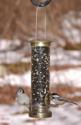 Aspects (ASP394) Quick-Clean Seed Tube Feeder, Small, Antique Brass