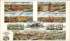 Advertising Kellogg Company Plants Chrome Original Vintage Postcard
