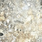Foto 11 di 11