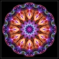 Blooming Mandala 1 - DIY Chart Counted Cross Stitch Patterns Needlework DMC