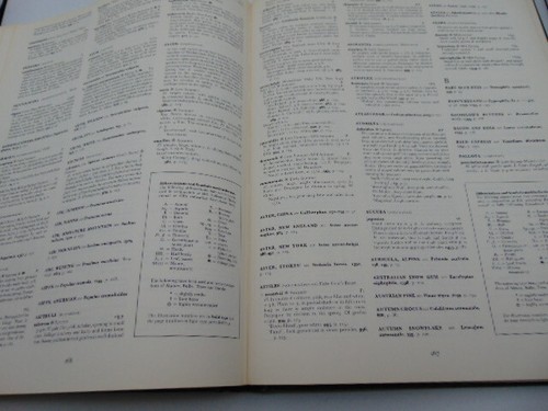 The Color Dictionary of Flowers & Plants for Home & Garden 1971 Hay & Synge HC - Bild 12 von 15