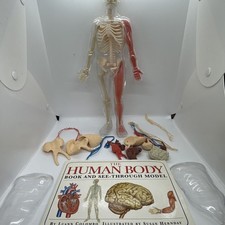 Vintage The Human Body Book And See-Through M...