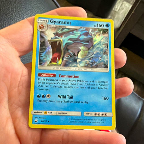 Gyarados 20/70 Dragon Majesty Holo Rare English 160 HP Stage 1