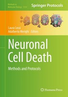 Laura Lossi (U. A.) | Neuronal Cell Death | Buch | Englisch (2014) | Xiv