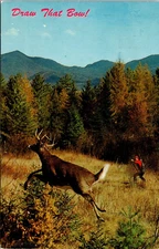 Draw That Bow - Deer Hunter in the Field - Postcard