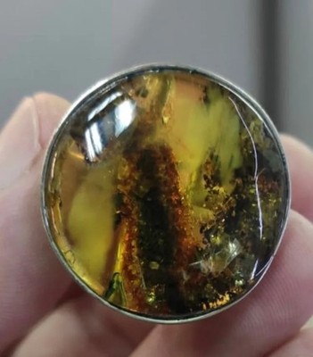 Echter baltischer Bernstein massiver runder grüner Bernstein Stein auf weißem Metall Ring