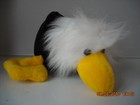 Bild 4 von 13