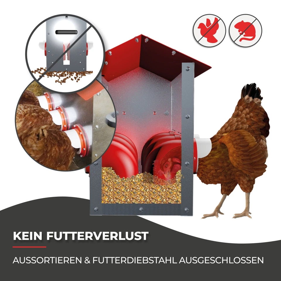 Futterautomat für Hühner - CLUCK-O-MATIC® für bis zu 45 Hühner - Bild 2 von 4