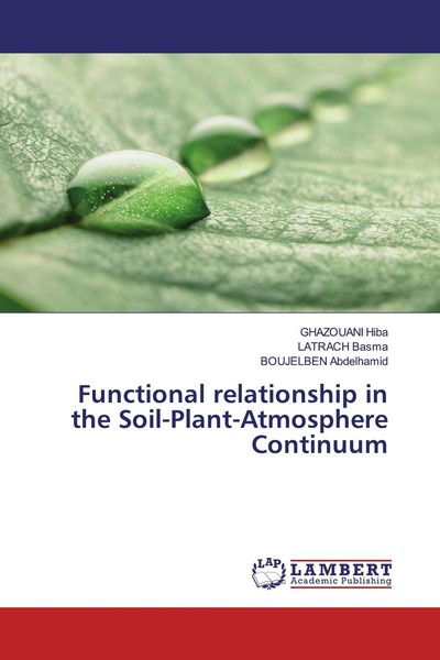 Functional Relationship In The Soil-Plant-Atmosphere Continuum Ghazouani Hiba-image