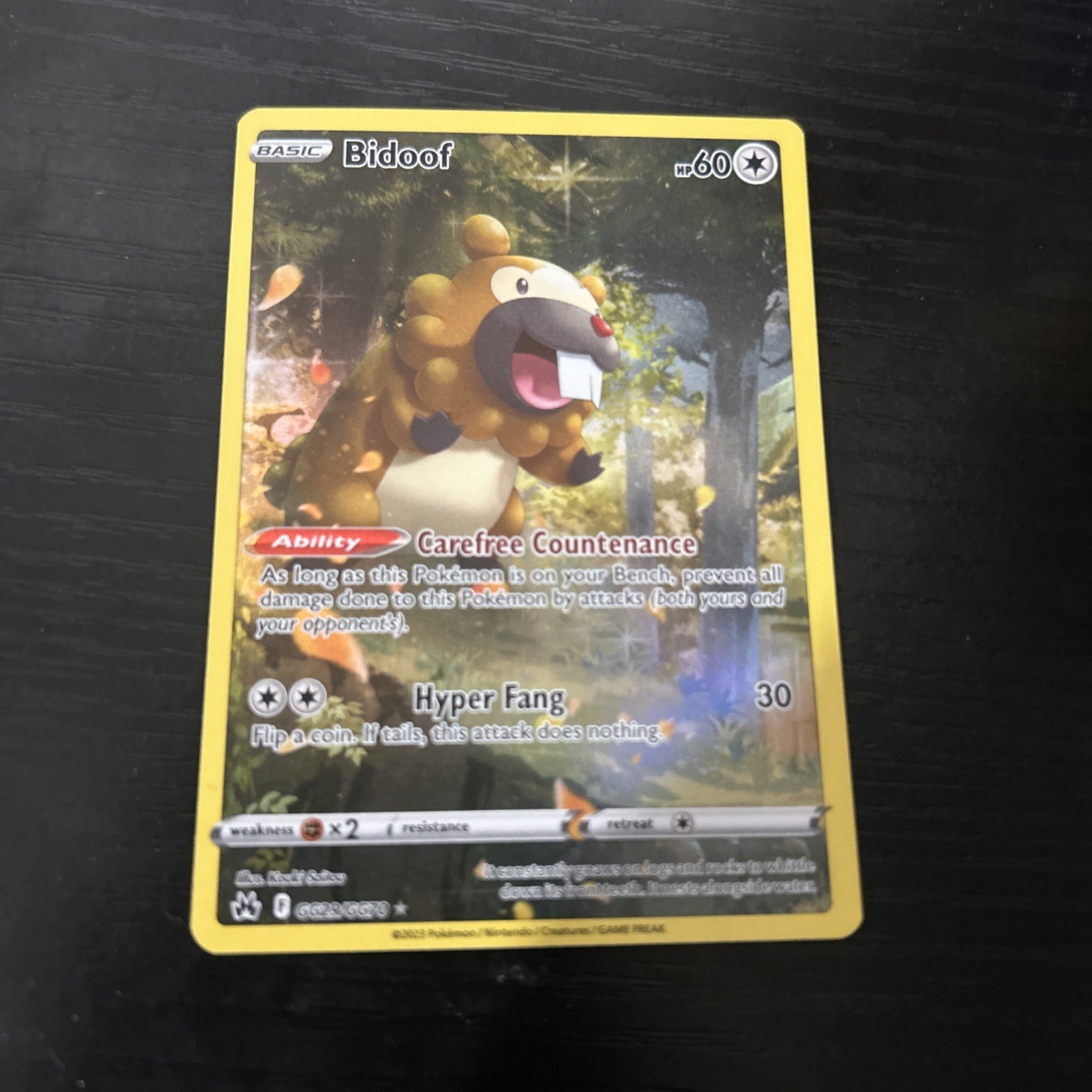 Bidoof GG29/GG70 SWSH: Crown Zenith: Galarian Gallery Holo