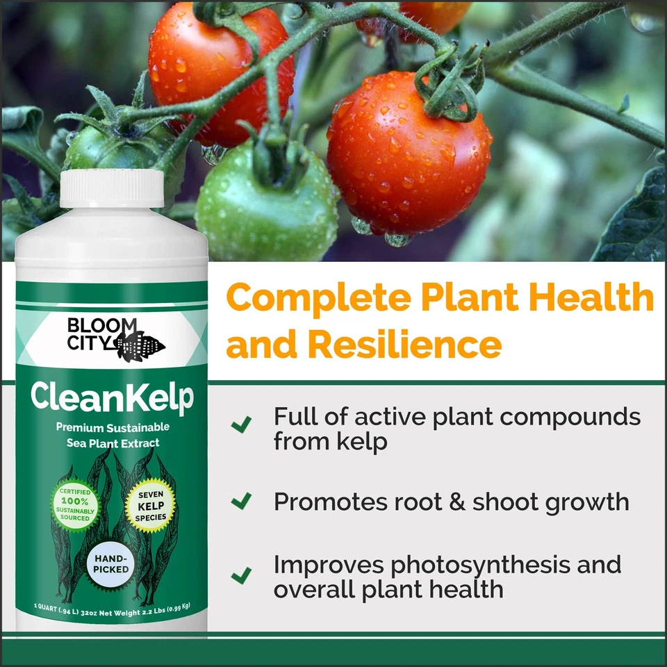 Suplemento fertilizante líquido orgânico de algas marinhas e algas marinhas, quarto (32 oz) concentrado... - Imagem 2 de 4