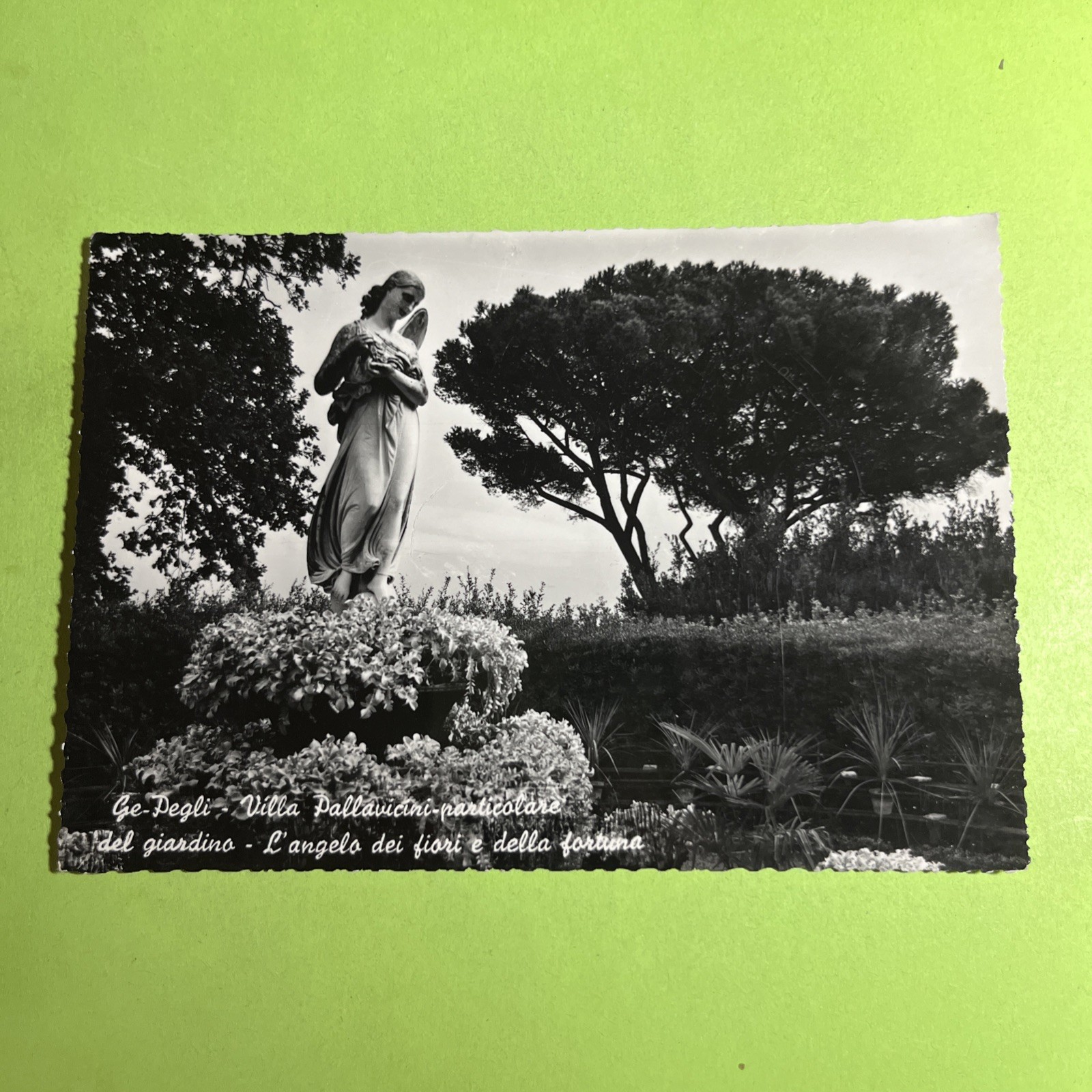 GE PEGLI VILLA PALLAVICINI PARTICOLARE GIARDINO FIORI - CARTOLINA BIANCO E NERO