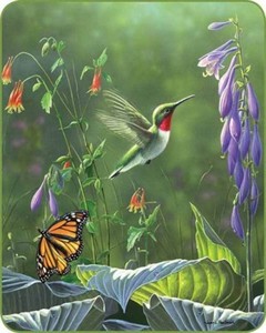 79x96 Rainha Beija Flor Borboleta Flores Jardim Vison Cobertor De La Super Pelucia Ebay