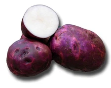 Purple Viking  Potato -2 lbs pounds- Certified Whole Seed Potatoes for Spring