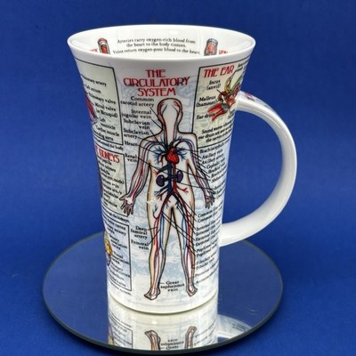 DUNOON Bodyworks Human Body Nervous System & Circulatory System 20oz Mug England