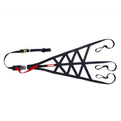 RaceQuip Right Side Triangle Roll Cage Net w/Quick Release SFI 37.1 Certified