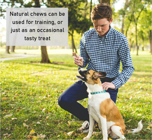 FISH FLATTIES 1KG DRIED NATURAL DOG CHEWS TREATS From Maltbys Stores 1904 Ltd - Picture 6 of 8