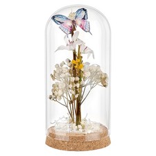 1pc Glass Dome Cover tive Display Case Cloche Bell Jar Terrarium with Cork