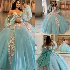 Elegant Blue Quinceanera Dresses Lace 3D Flower Lace Up Ball Gown Sweet 16 Party