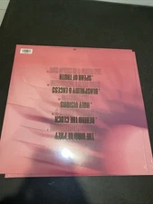 AFI Silver Bleeds the Black Sun LP Violet Aqua & Hot Pink Swirl