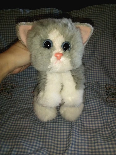2000 Kitty Kitty Kittens By Tyco Purs "Smokey" Very Fluffy, Nose Replacement - Picture 2 of 10