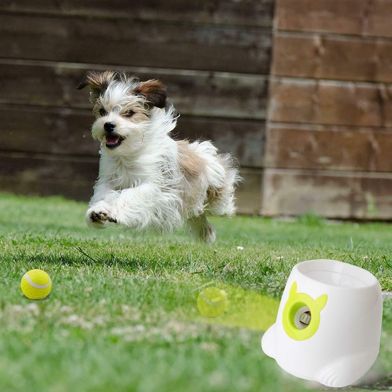 remote control ball for dogs