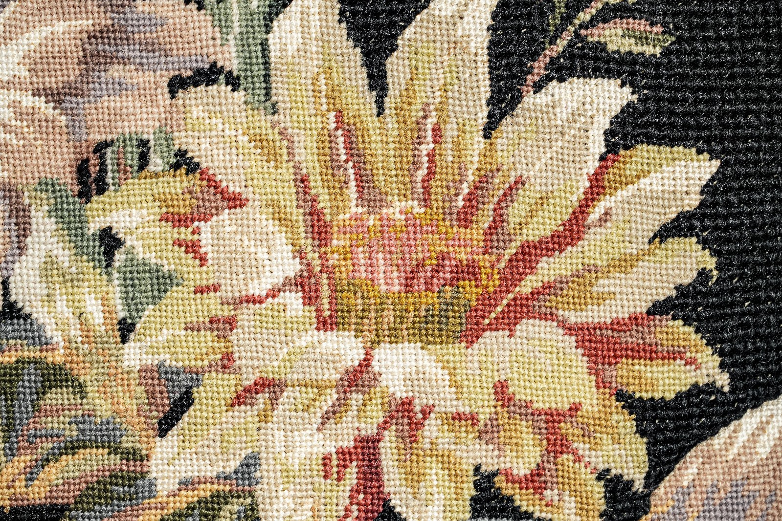 Picture 8 of 13