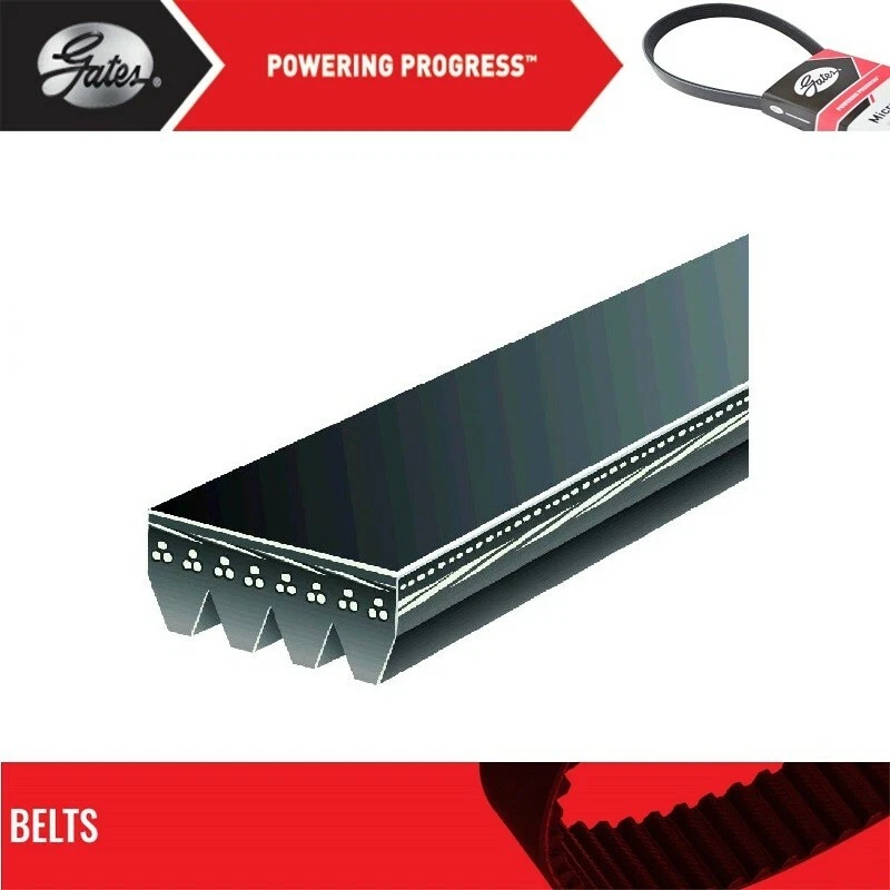 Cinturón compresor de aire Gates para GMC C7500 2003-2008 TOPKICK V8-8,1 L Foto 2 de 4