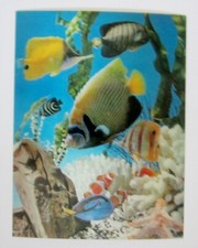 Aquarium Fish Vari-Vue 3-D Lenticular Picture 13 1/2 by 10 1/2 inches Great 3-D!