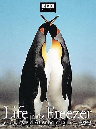 LIFE IN THE FREEZER - David Attenborough PENGUINS DVD NEW/SEALED - Picture 1 of 1
