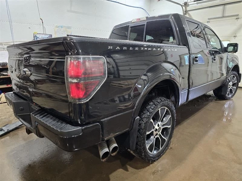 Manija de puerta del conductor exterior trasera 4 puertas para camioneta Ford F150 07-14 585268 Foto 4 de 4