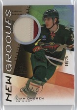 2024-25 Upper Deck SP Game Used New Grooves 8/25 Liam Ohgren #NG-7 Patch 1mz4