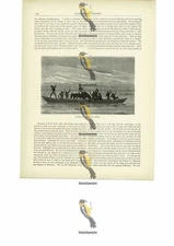 Travelling Down The Niger, Africa, Book Illustration (Print), c1880
