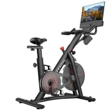 Yesoul G1M Plus Exercise Bike With 21.5”  1080P FHD Screen