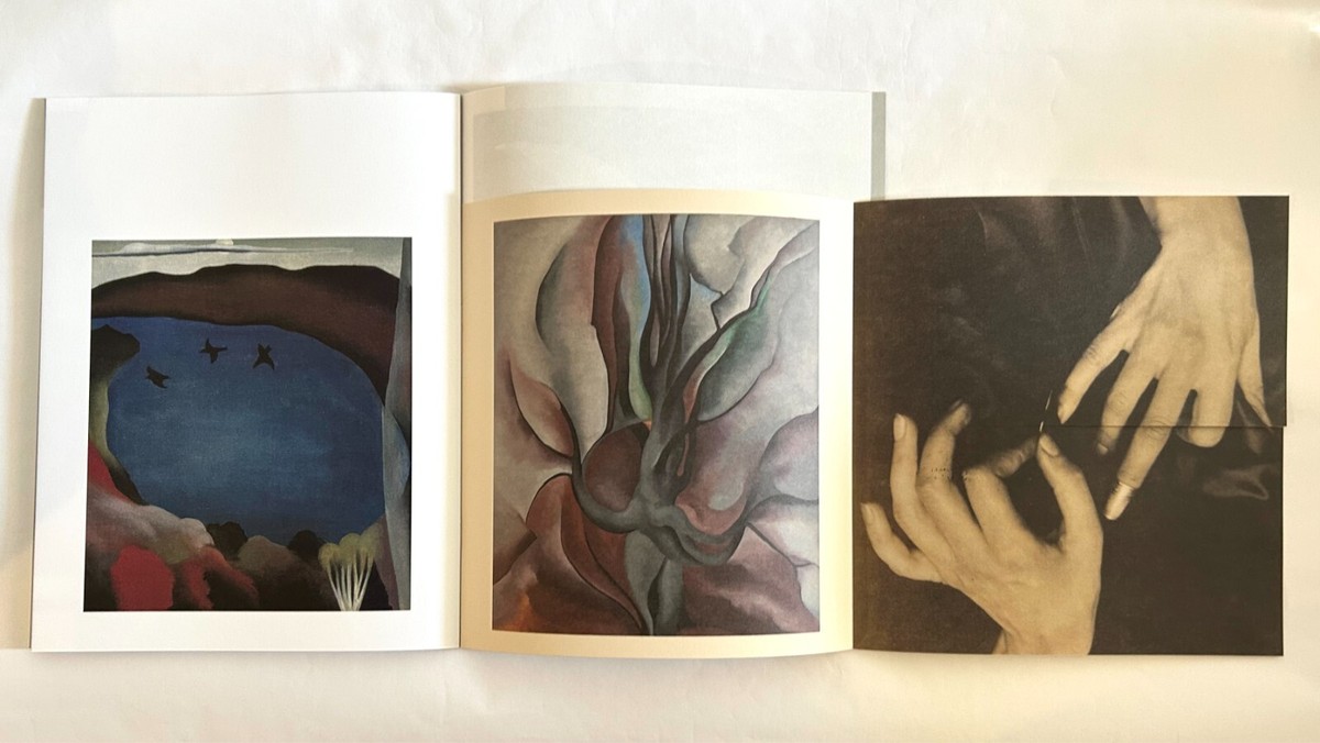 GEORGIA O'KEEFFE COMME des GARCONS S/S 2025 PROMO ART