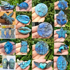 25Kinds Natural Labradorite Quartz Crystal Carved Skull Reiki Healing Decor