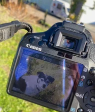 Canon EOS Rebel T1i / EOS 500D 15.1MP Digital SLR Camera - Black Kit w/ EF-S IS