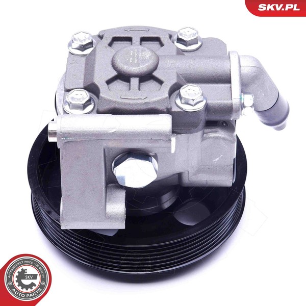 Esen SKV Hydraulikpumpe, Lenkung 10SKV038 FüR Ford Land Rover Volvo-image