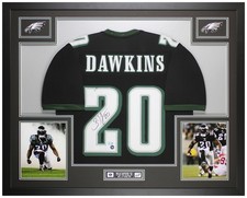 Philadelphia Eagles Collecting and Fan Guide 84