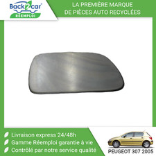Glace de rétroviseur Peugeot 307