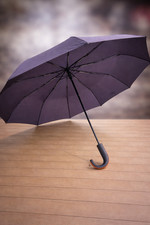 Automatic Double Canopy Umbrella Plum Black Hook Handle