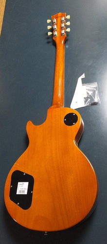ESP Edwards E-LP-100SD GOLD T DUNCAN L tenon Pick Gurd not install M in Japan - Picture 4 of 6