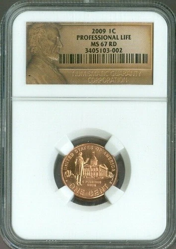 2009 Lincoln Cent Professional Life NGC MS67 Quality