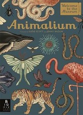 Animalium by Jenny Broom (Hardcover, 2017)