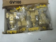 8 QTY GV100 1" Inch Brass Gate Valve - 150 PSI DN25 PN16  Female x F NPT
